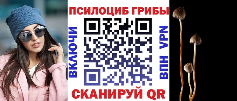 Галлюциногенные грибы мухоморы  MEGA зеркало  Суровикино 